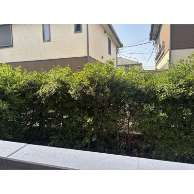 【その他】 | サウス・フォレストA