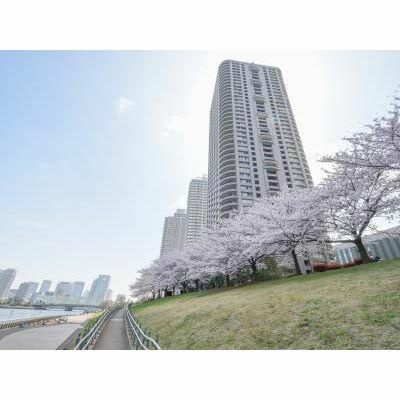 リバーシティ２１イーストタワーズⅡの間取り