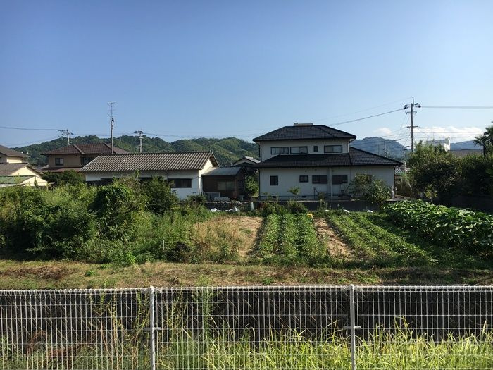 ローズハウスの展望