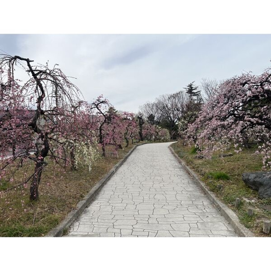 【庭】 | ハピネス公園前
