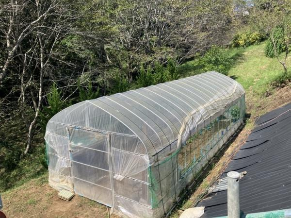 三重町　戸建てのその他|日当たりの良い場所に設置されたビニールハウスです。外観はしっかりとした骨組みと透明なビニールで覆われています。周囲には自然豊かな緑が広がっています。出入り口も広く使いやすい設計です。