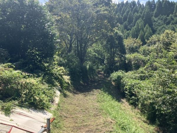三重町　戸建てのその他|周囲は豊かな緑に囲まれており自然を身近に感じられる環境です。視界を遮るものが少なく開放感があります。日当たりも良好で明るい雰囲気が広がります。車を家の裏から回すことができます。