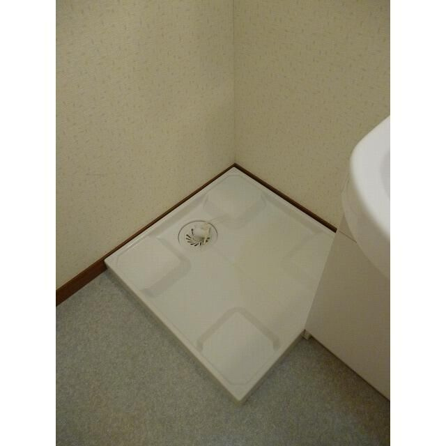 アムール　ドファンのその他