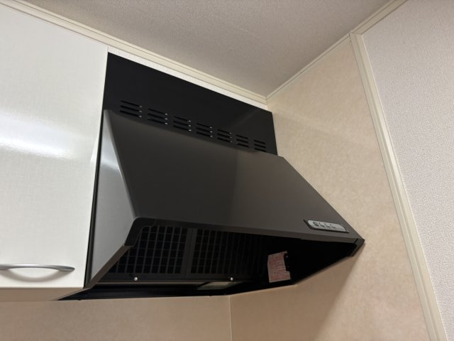 ヴィーヴル　スミヨシのその他