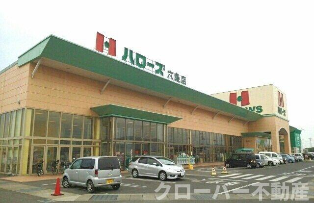 ブラウン窓香の周辺|ハローズ六条店さんまで1000m