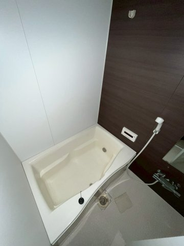 Apiceのその他