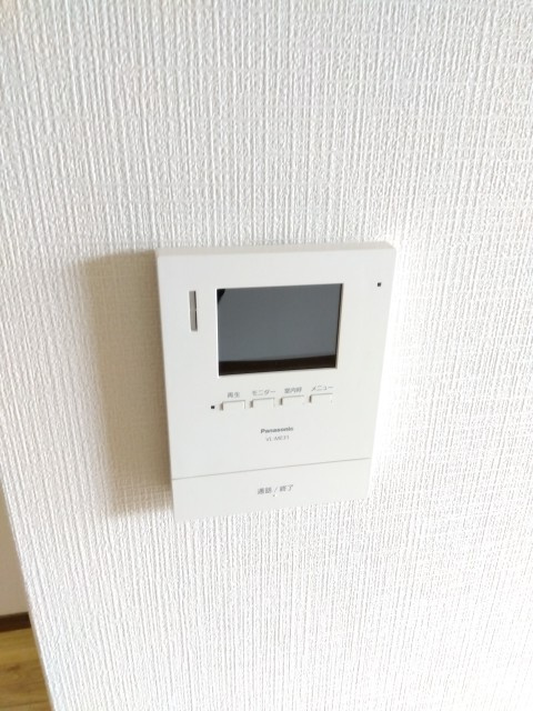 サラセニアのその他