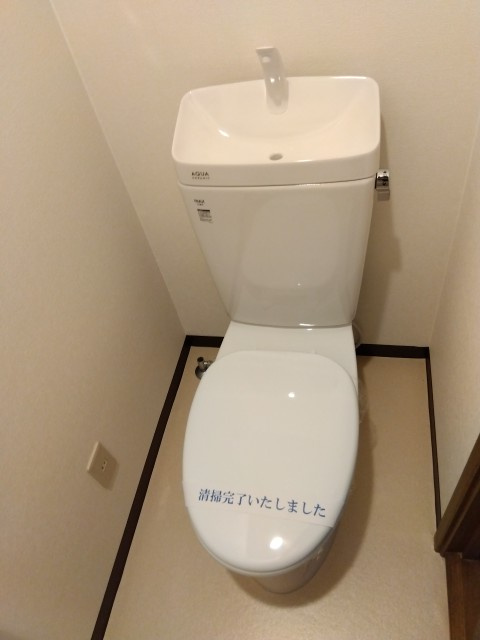 サラセニアのトイレ