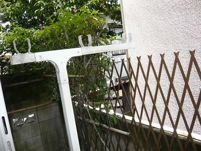 Ｂ・Ｌ・Ｔｓｉｘの展望