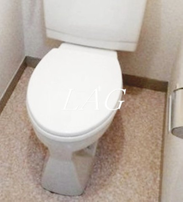【トイレ】 | Ｔ’ｓ　ｇａｒｄｅｎ小竹向原 | トイレです。