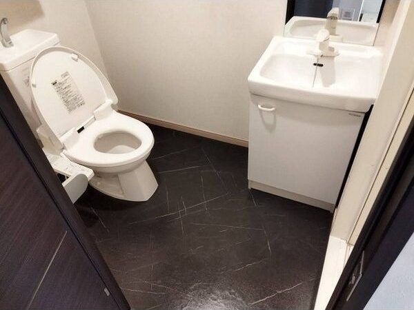 プレサンスmiu新栄の洗面所