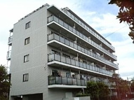 プレシアスムラタの画像