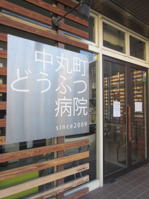 Dolce Vitaのその他|中丸町どうぶつ病院
