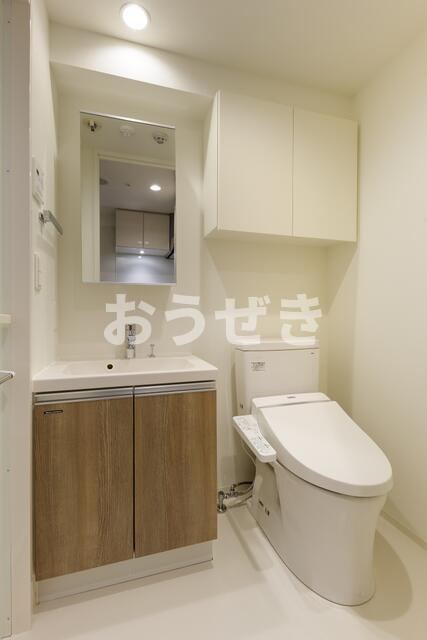 エストゥルース新小岩の洗面所