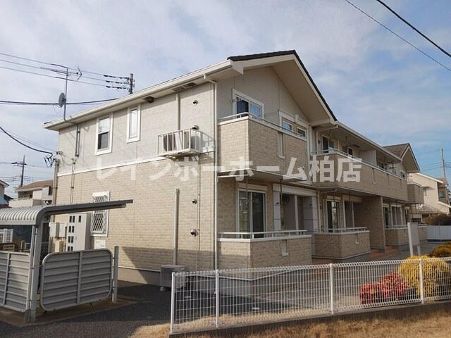 特典：仲介手数料が50％OFFです‼