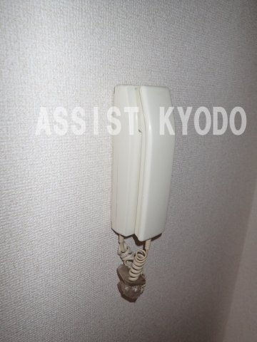 グレイス・チトセのセキュリティ