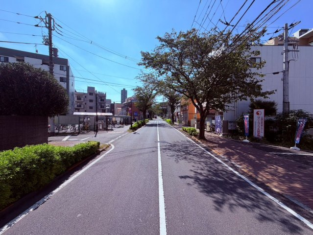 【前面道路含む現地写真】 | 練馬区東大泉３丁目　中古戸建て | すっきりと開放感のある街並み。緑豊かな並木道に面しています