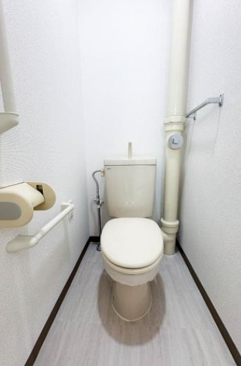 フレール助松100号棟のトイレ