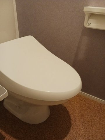 ラヴィアンローズＣのトイレ