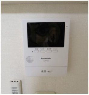 レオネクストミントのセキュリティ