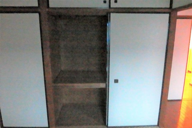 相模原市南区麻溝台８丁目の賃貸マンションの収納