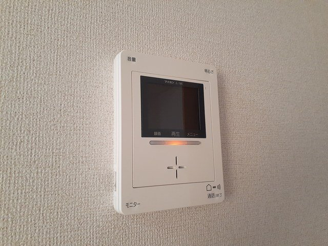ルーチェ・デル・ソーレのセキュリティ