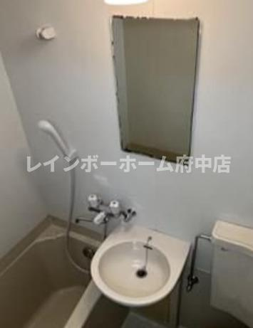 ロイヤルカイザーの洗面所
