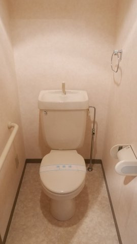 グランデ駿河台のトイレ|同タイプ参照