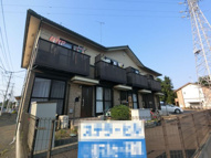 ステラ ヒルの画像