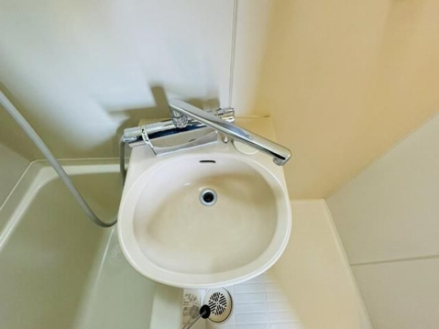 リバーハイムⅢの洗面所