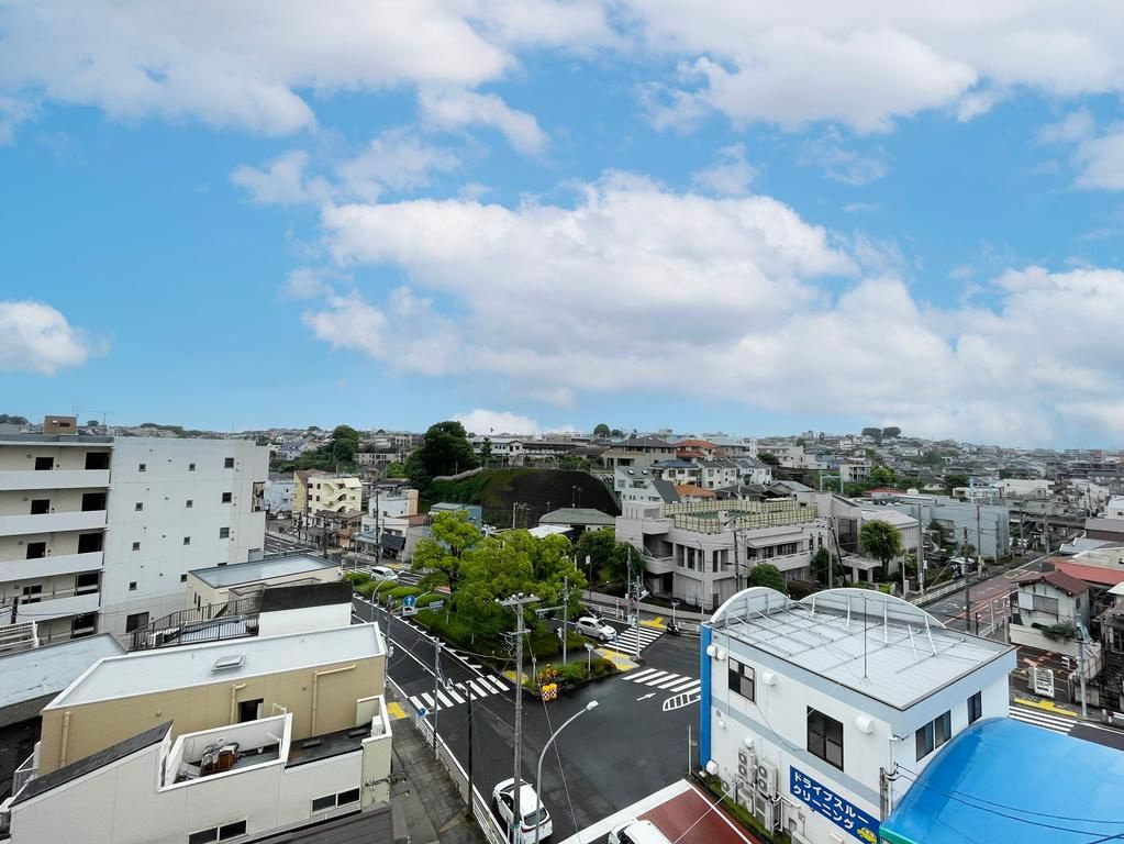 山手パークハイツの展望
