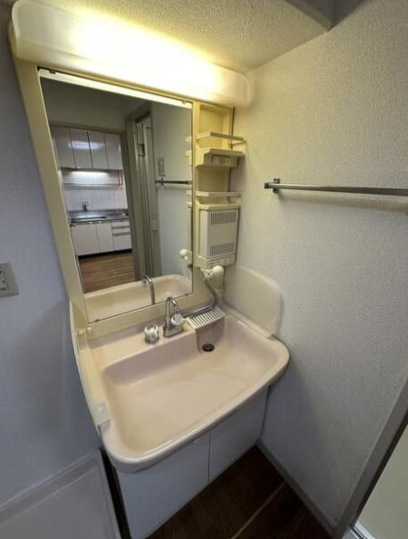 いづみマンション一ツ橋の洗面所