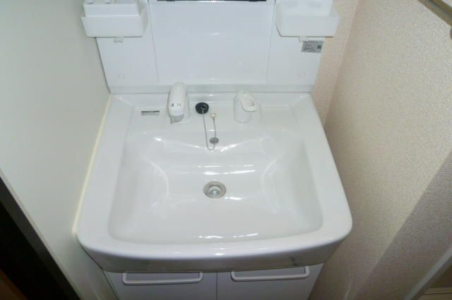 レオネクスト見沼　コヅチの洗面所