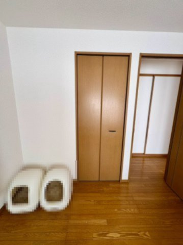 「リビング24帖」高知市潮見台二丁目　2階建　４SLDKの収納|2階の部屋にもそれぞれ収納が備え付けられています。