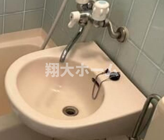 ライオンズプラザ白山の洗面所