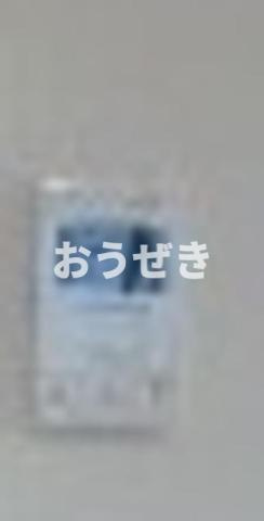 レアライズ清澄白河のセキュリティ