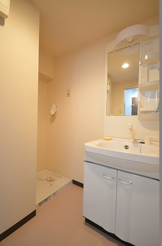 田清ビルの独立洗面台|シャワー付洗面台と室内洗濯機置場
