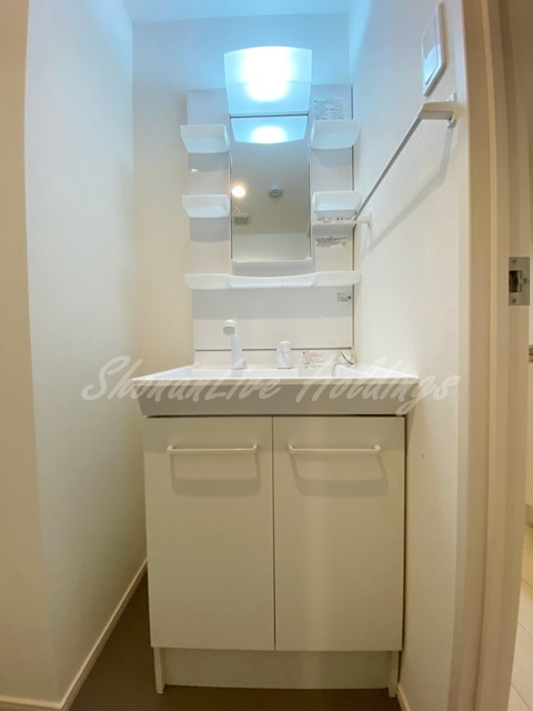 大和市上草柳１丁目の賃貸マンションの洗面所
