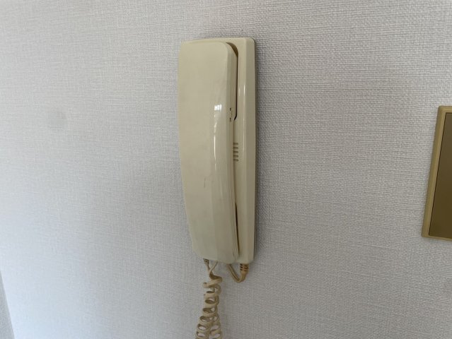 アルトシュタット（ALTSTADT）のセキュリティ