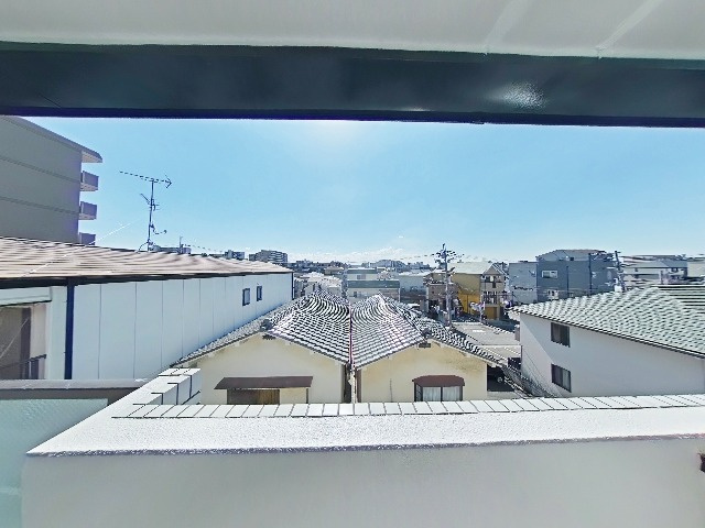 アルトシュタット（ALTSTADT）の展望