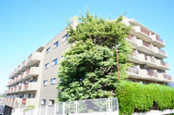 トーカド宮崎台 の画像