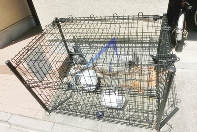 デザインコート中野