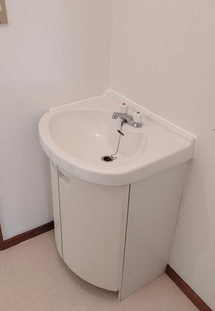 タケダハウスの洗面所