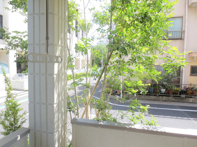 レアメリアの展望|／大手ハウスメーカー施工／他部屋写真／