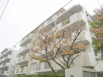 【外観】 | クリオ鎌倉岡本ホームズ