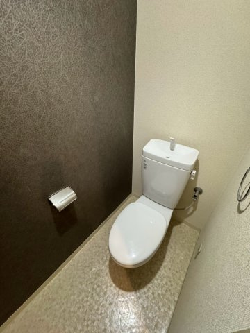 メゾンベルクレール中津のトイレ|落ち着いたトイレです