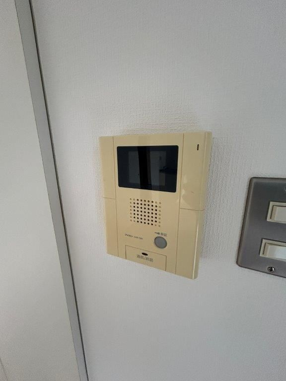 サンチャリーフのその他