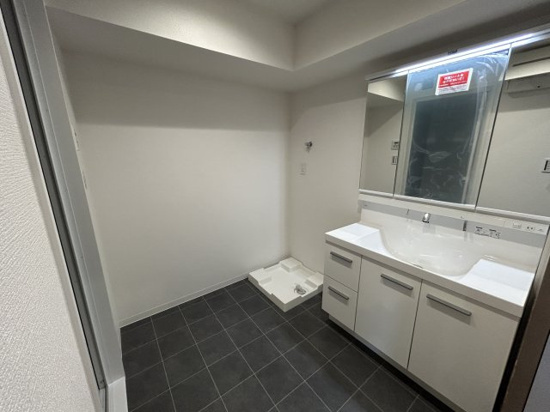 さいたま市南区別所３丁目の賃貸マンションの洗面所