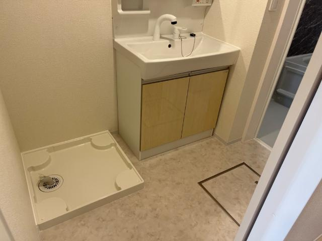 ウェルネスBのその他|脱衣所