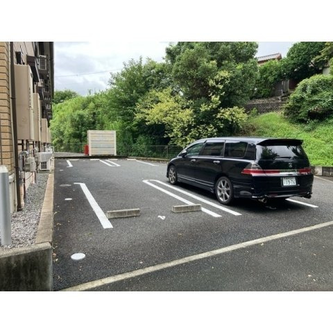 プリマヴェーラのその他